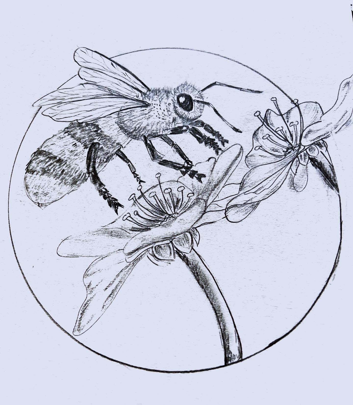 some image 17 art-name-17